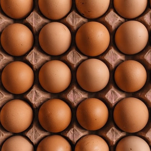 Free Range Farm Fresh Eggs