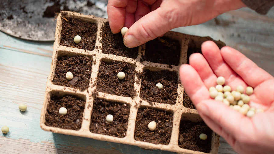 Gardening 101 Part 1